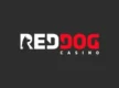 Red Dog casino review
